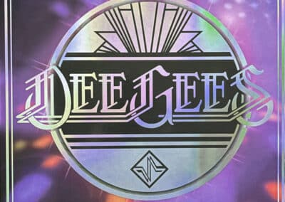 Hoes van Hail Satin van Dee Gees (Foo Fighters)